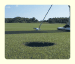 Golf Ball Missing Motion/Morph