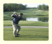 Golf Swing Motion/Morph