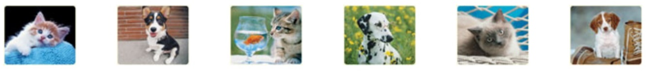 Pet Mouse Pads